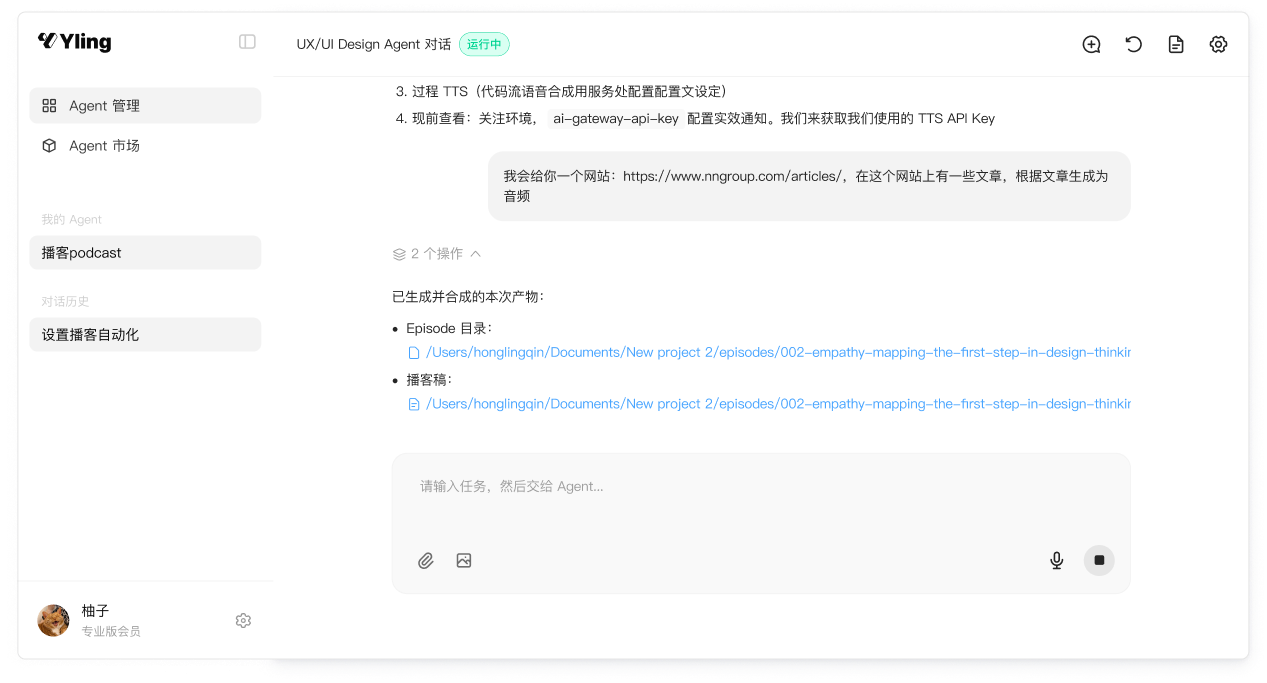 自定义 Agent